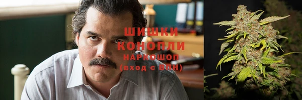 Альфа ПВП Новозыбков