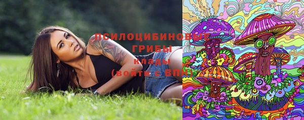 PSILOCYBIN Новодвинск