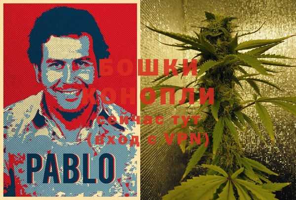 PSILOCYBIN Новодвинск