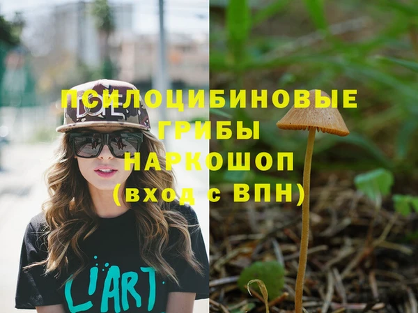 Альфа ПВП Новозыбков