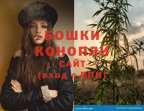 PSILOCYBIN Новодвинск