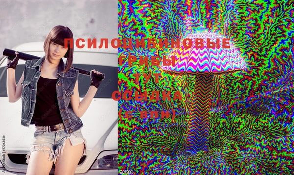 PSILOCYBIN Новодвинск