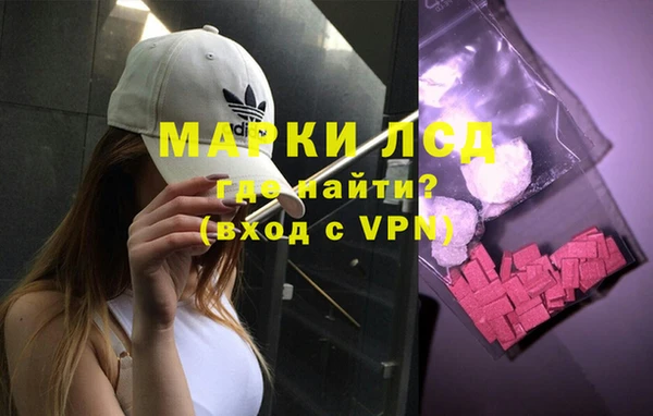 Альфа ПВП Новозыбков