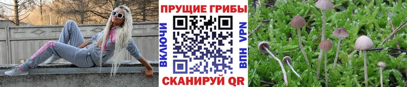 Псилоцибиновые грибы мицелий  купить наркотики цена  Ивдель 